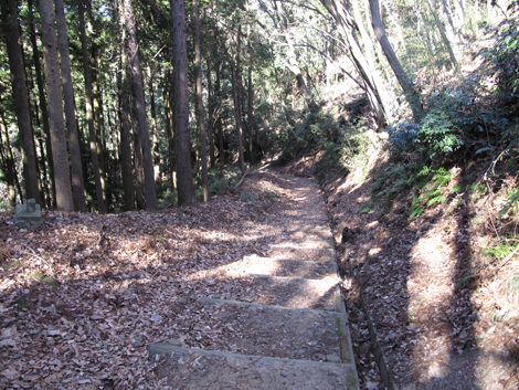 20170126hike (202)